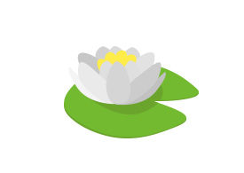 Waterlily Free Vector
