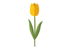 Yellow Tulip Flower Flat Vector
