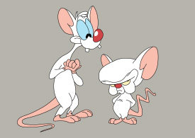 Pinky and the Brain Vector