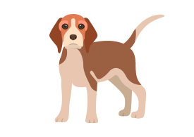 Beagle Dog Vector - SuperAwesomeVectors
