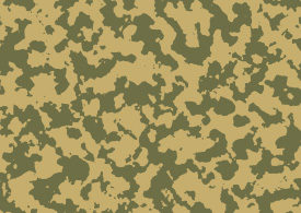 Camouflage Vector