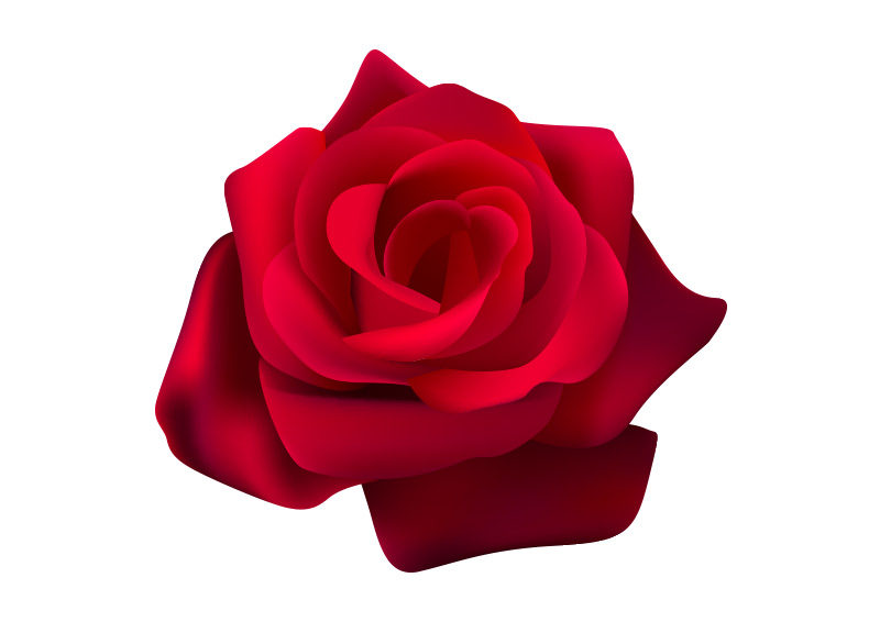 Rose Flower Graphics Design Svg, Dxf, Eps, By Vectordesign CFC