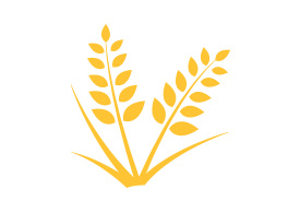 wheat vector superawesomevectors