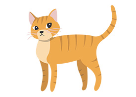 Striped Ginger Cat