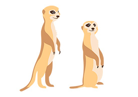Pair of Meerkats Free Vector