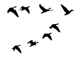 Gaggle of Geese Silhouettes Vector