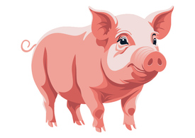 Pig Free Vector