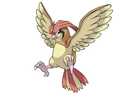 Pidgeotto Pokemon Vector