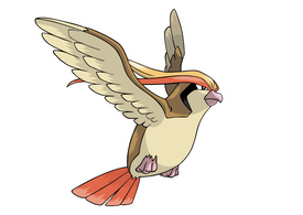 Pidgeot Pokemon Vector