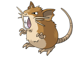 Raticate Pokemon Vector